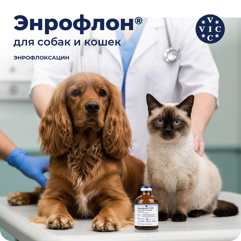 Препарат антимикробный VIC Энрофлон инъекц., 2,5%, 50мл (рецепт)