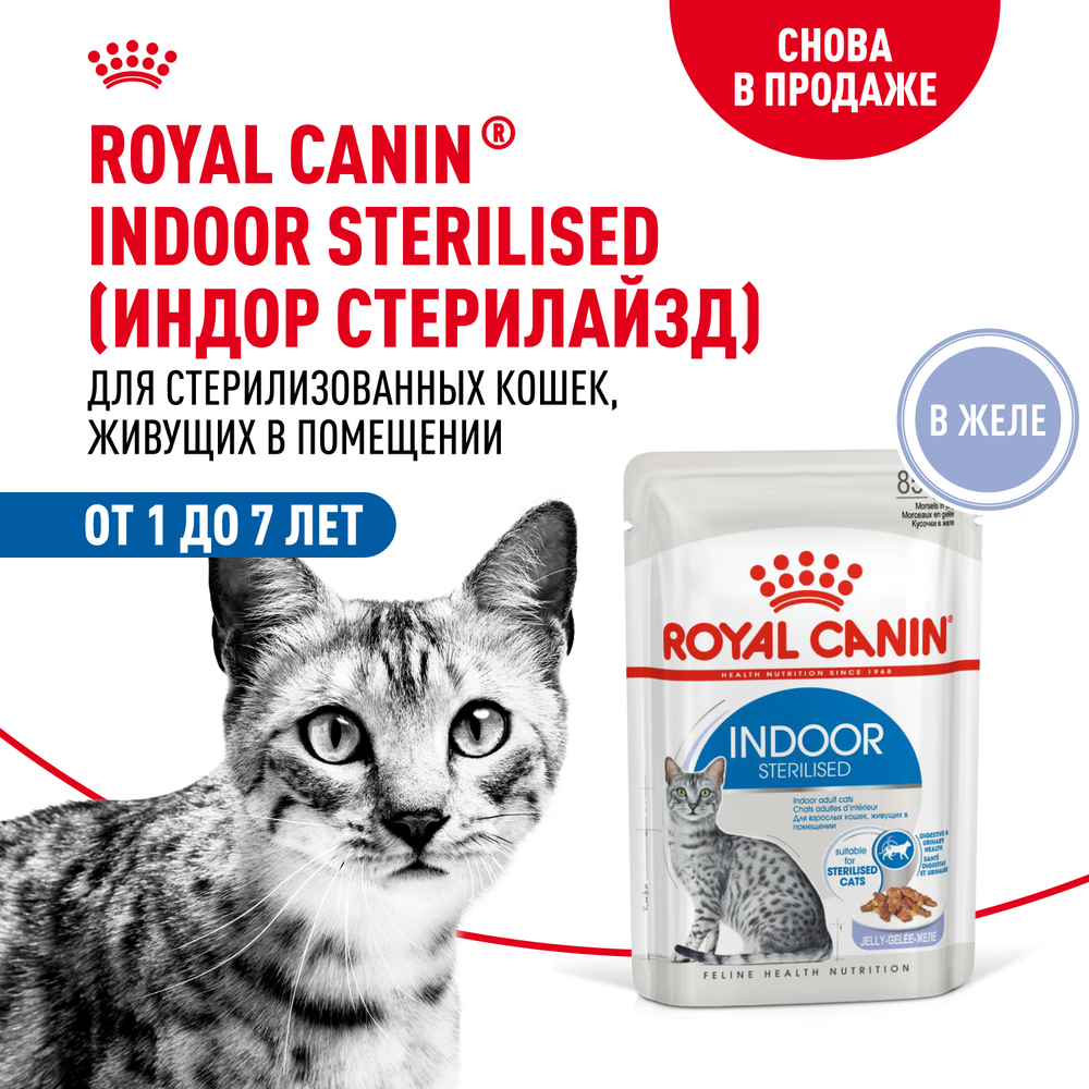 Корм для кошек ROYAL CANIN Indoor Sterilized для кастрир. живущих в помещ., кусочки в желе пауч