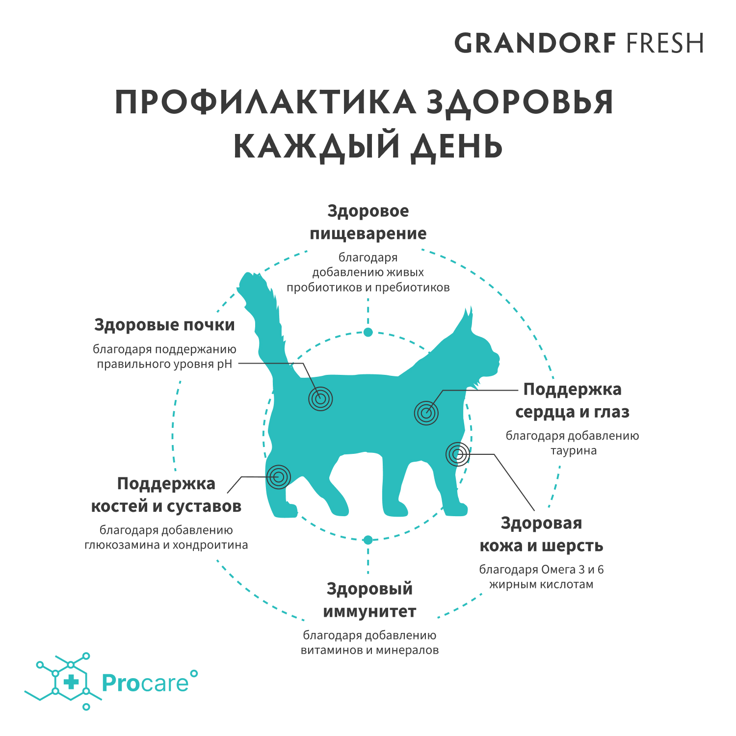 Корм для кошек GRANDORF Fresh Cat для крупных пород, свежее мясо ягненка с бататом сух.