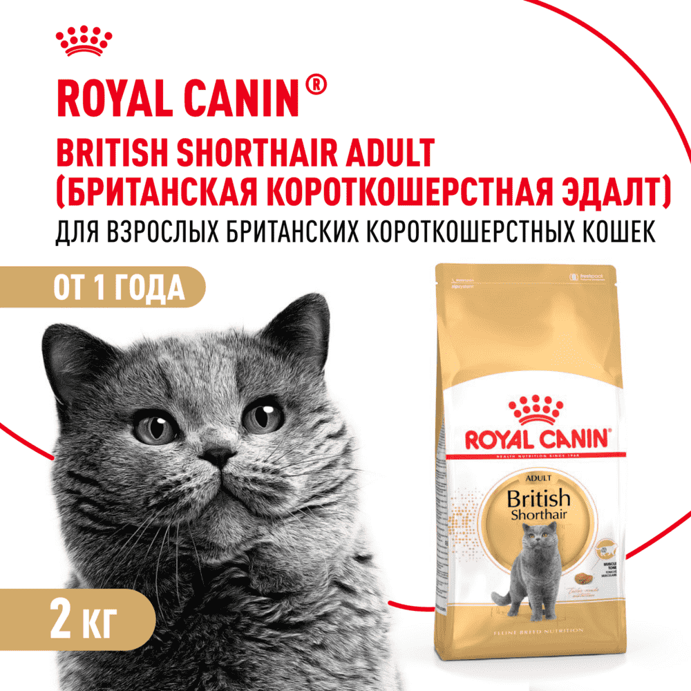 Корм для кошек ROYAL CANIN British Shorthair для породы британская короткошёрстная сух.