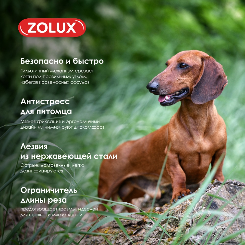Когтерез-гильотина для собак ZOLUX для подрезания когтей, S