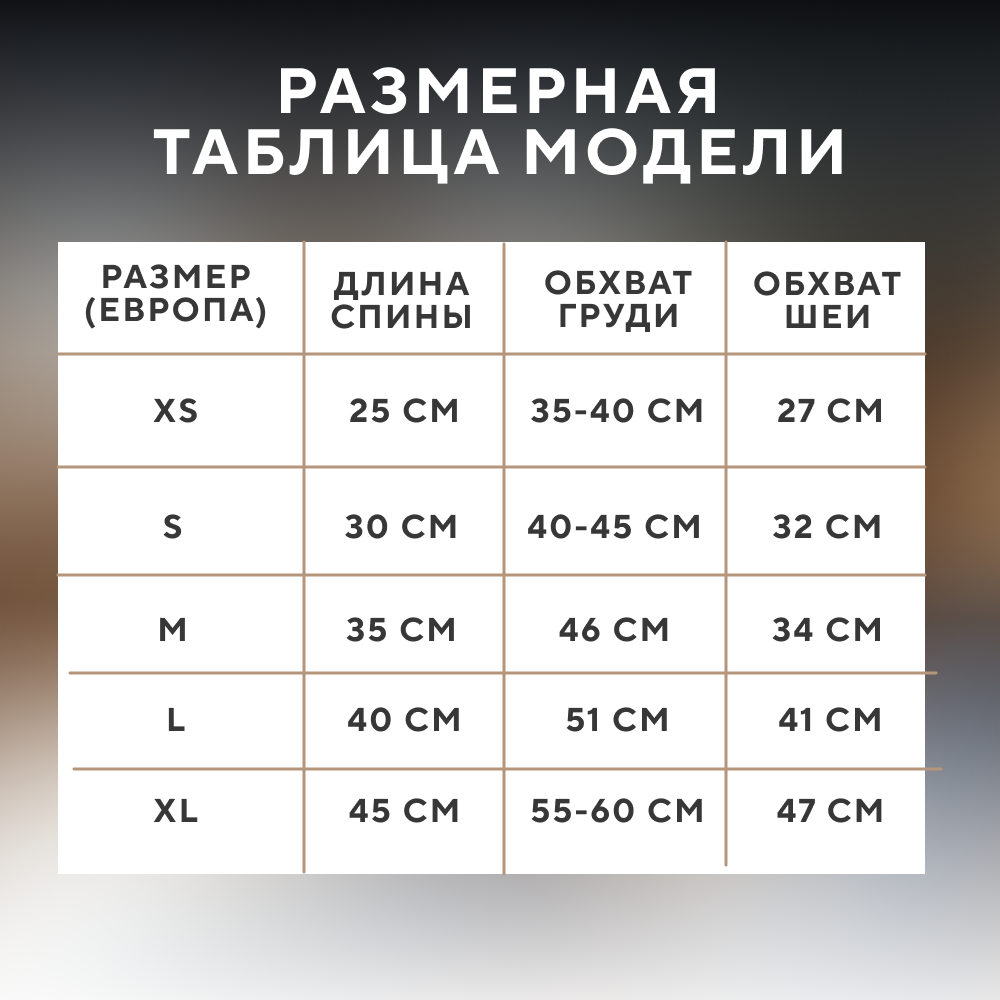 Жилет для собак FOXIE Bohemia синий