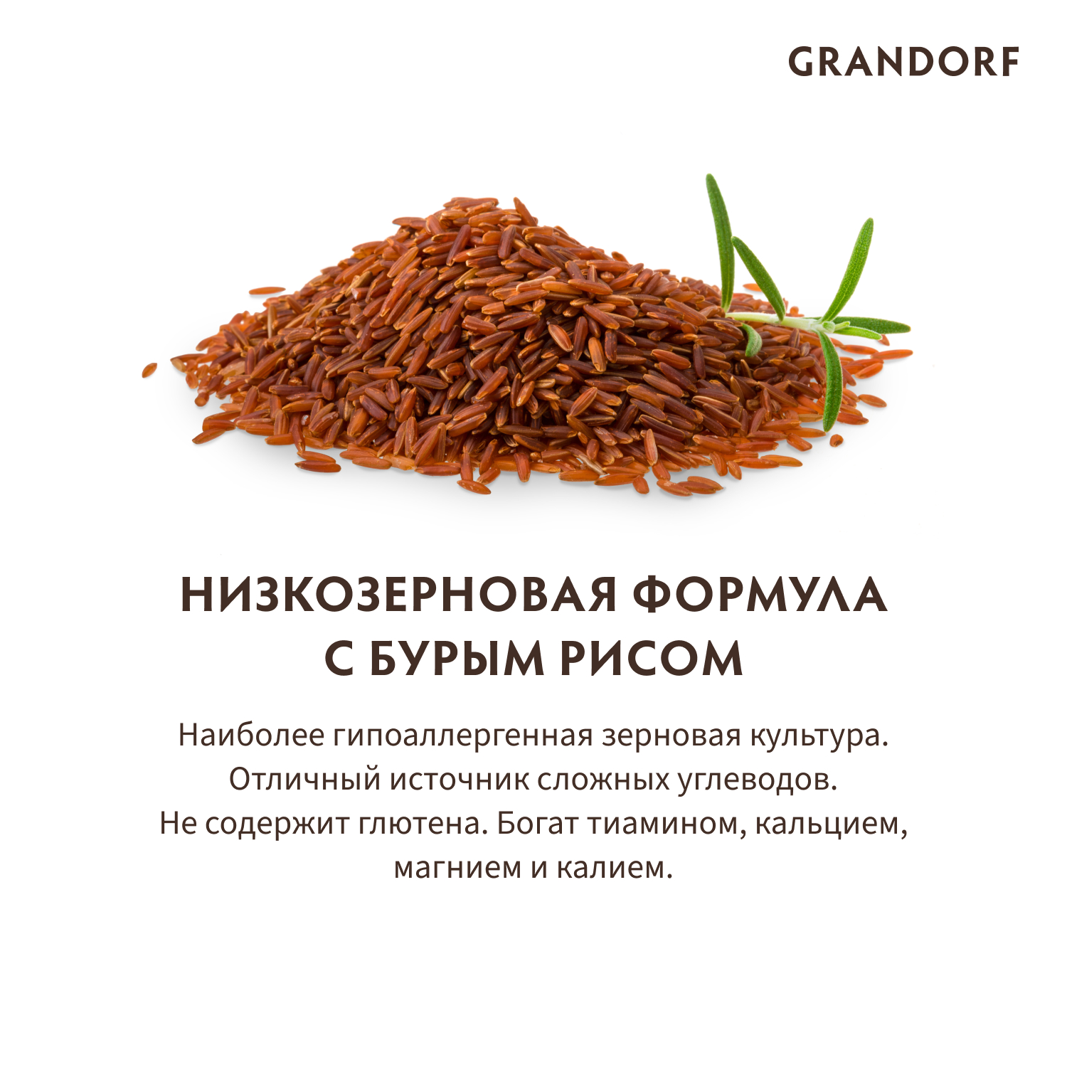 Корм для котят GRANDORF Ягненок с индейкой сух.