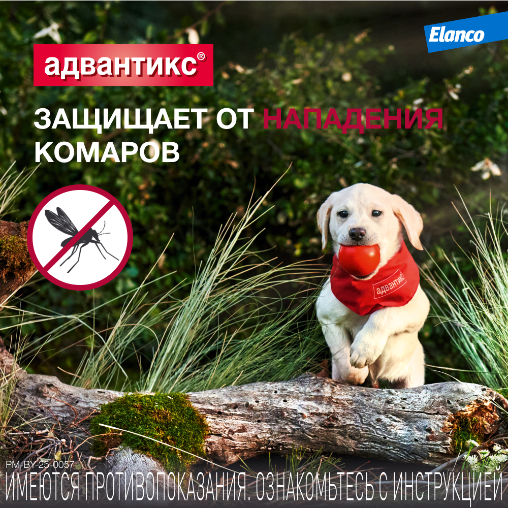 Капли для собак ELANCO Адвантикс от блох, клещей и комаров 40 (до 4кг веса) 1 пипетка в упак.