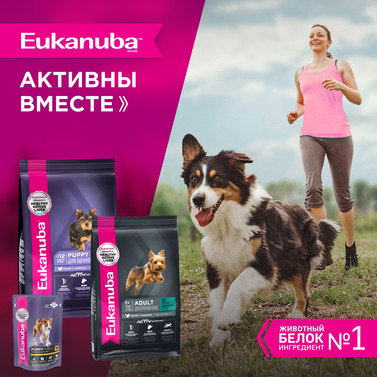 Корм для щенков EUKANUBA для миниатюрных пород сух.