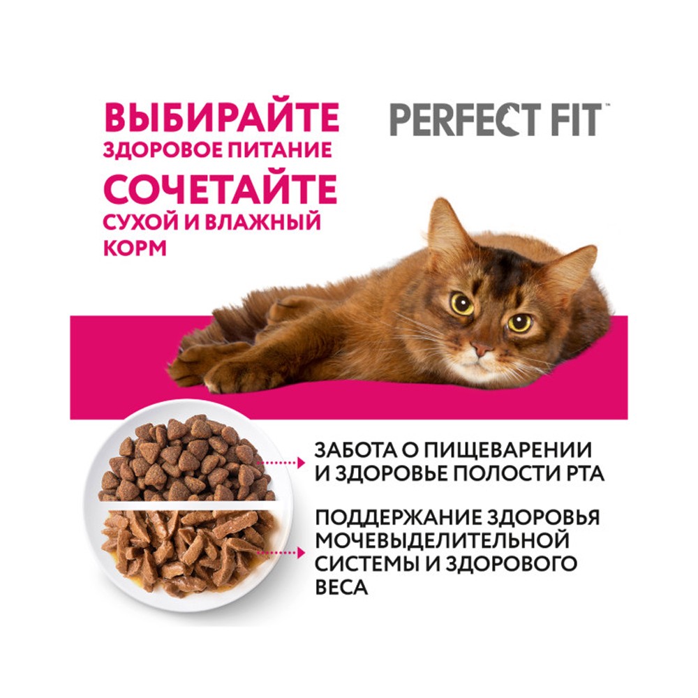 Корм для кошек PERFECT FIT для красивой шерсти и здоровой кожи, индейка в соусе пауч