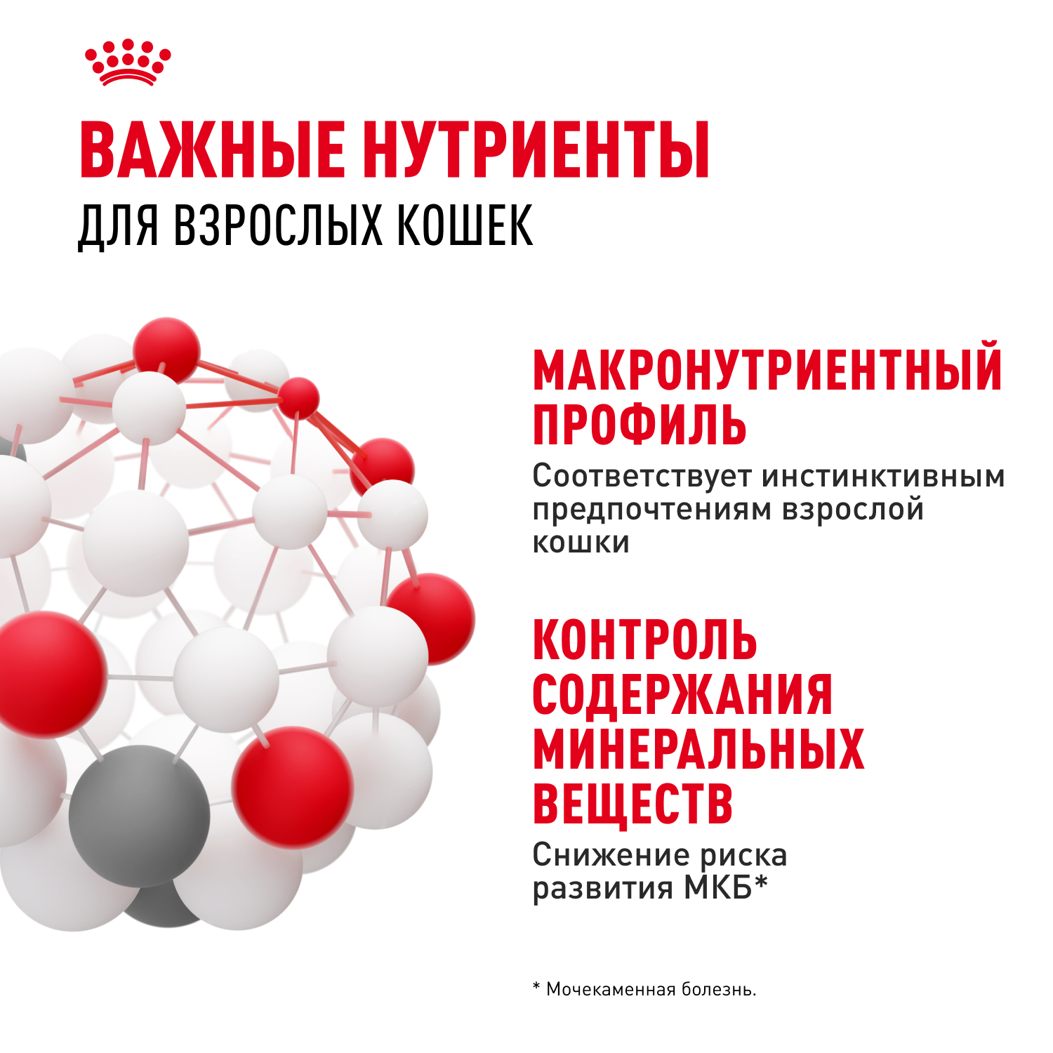 Корм для кошек ROYAL CANIN Instinctive желе пауч