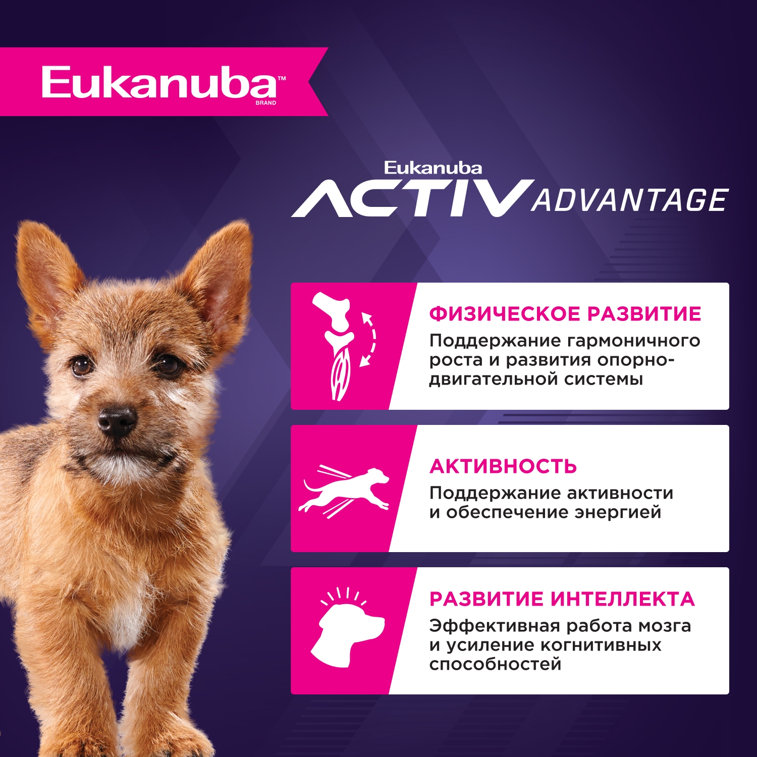 Корм для щенков EUKANUBA Puppy Small Breed для мелких пород сух.