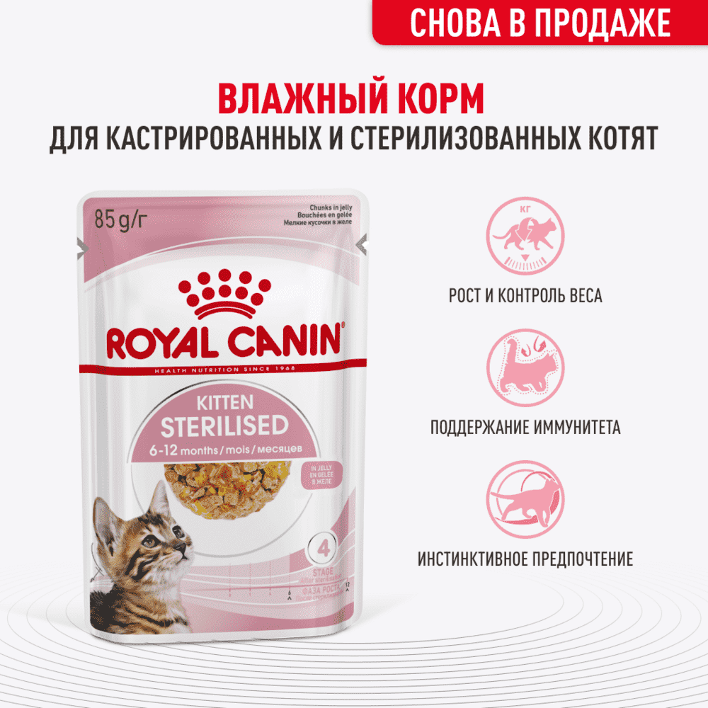 Корм для котят ROYAL CANIN Kitten Sterilised для стерилизованных от 6 мес., кусочки в желе пауч