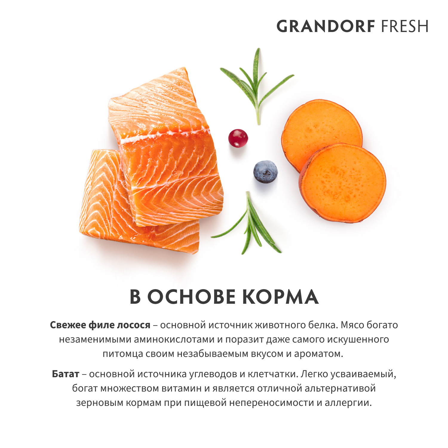 Беззерновой корм с живыми пробиотиками для кошек GRANDORF Fresh Cat Sterilised для стерилиз., свежее филе лосося с бататом сух.