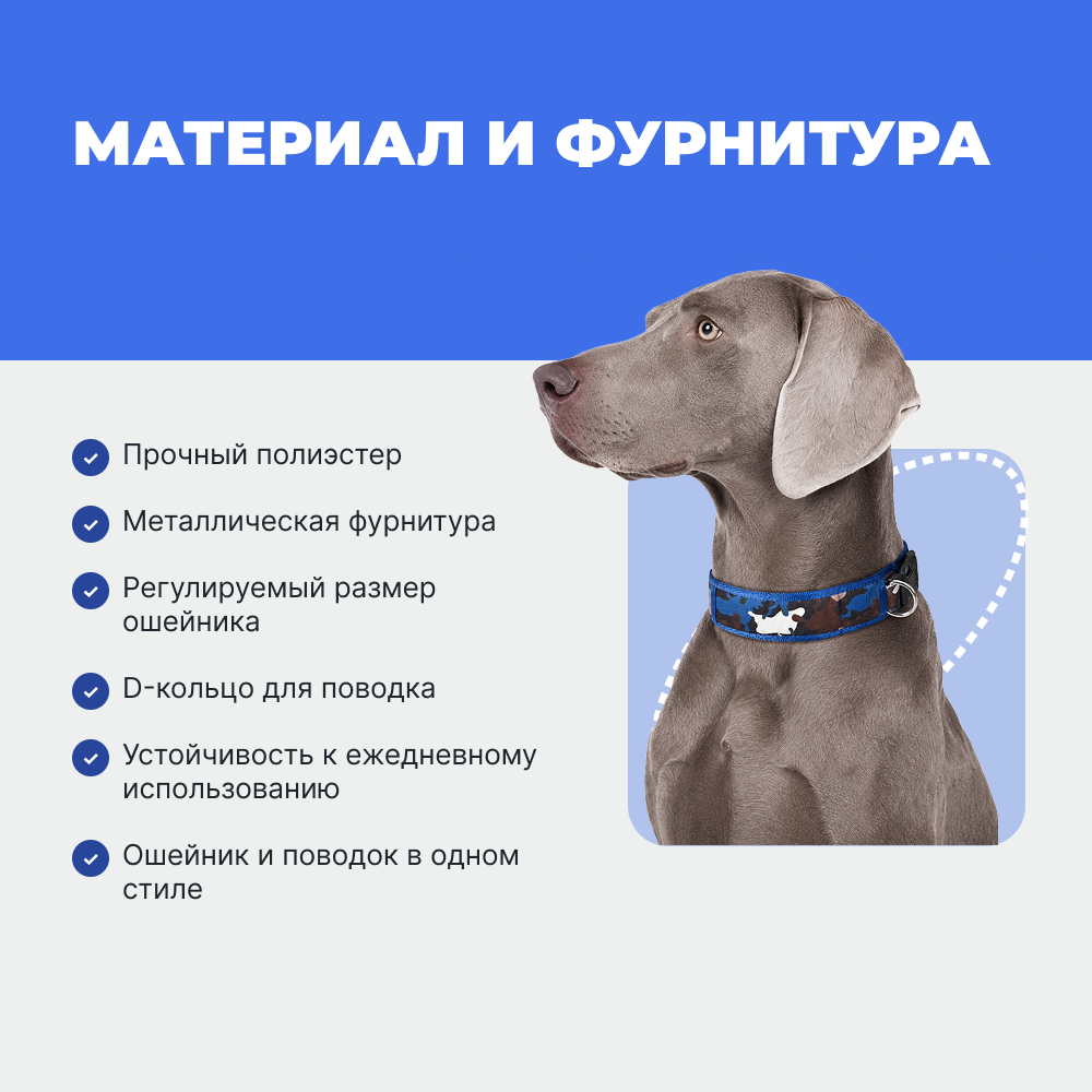 Ошейник и поводок для собак FOXIE Strong S разноцветные