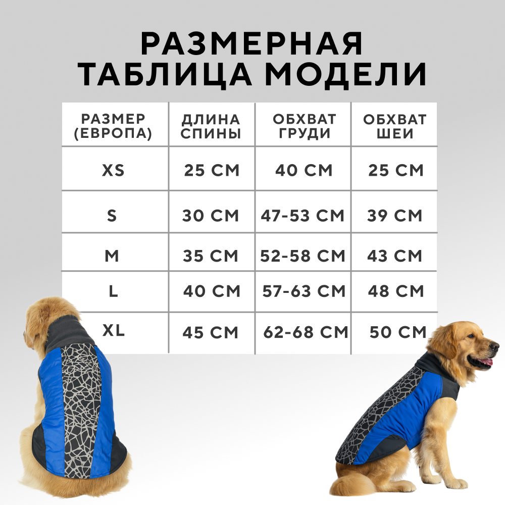 Попона для собак FOXIE Gossamer синяя