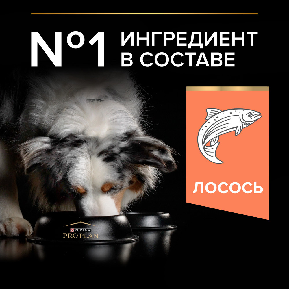 Корм для собак PRO PLAN Sensitive Skin для средних пород с чувствительной кожей, с лососем сух.