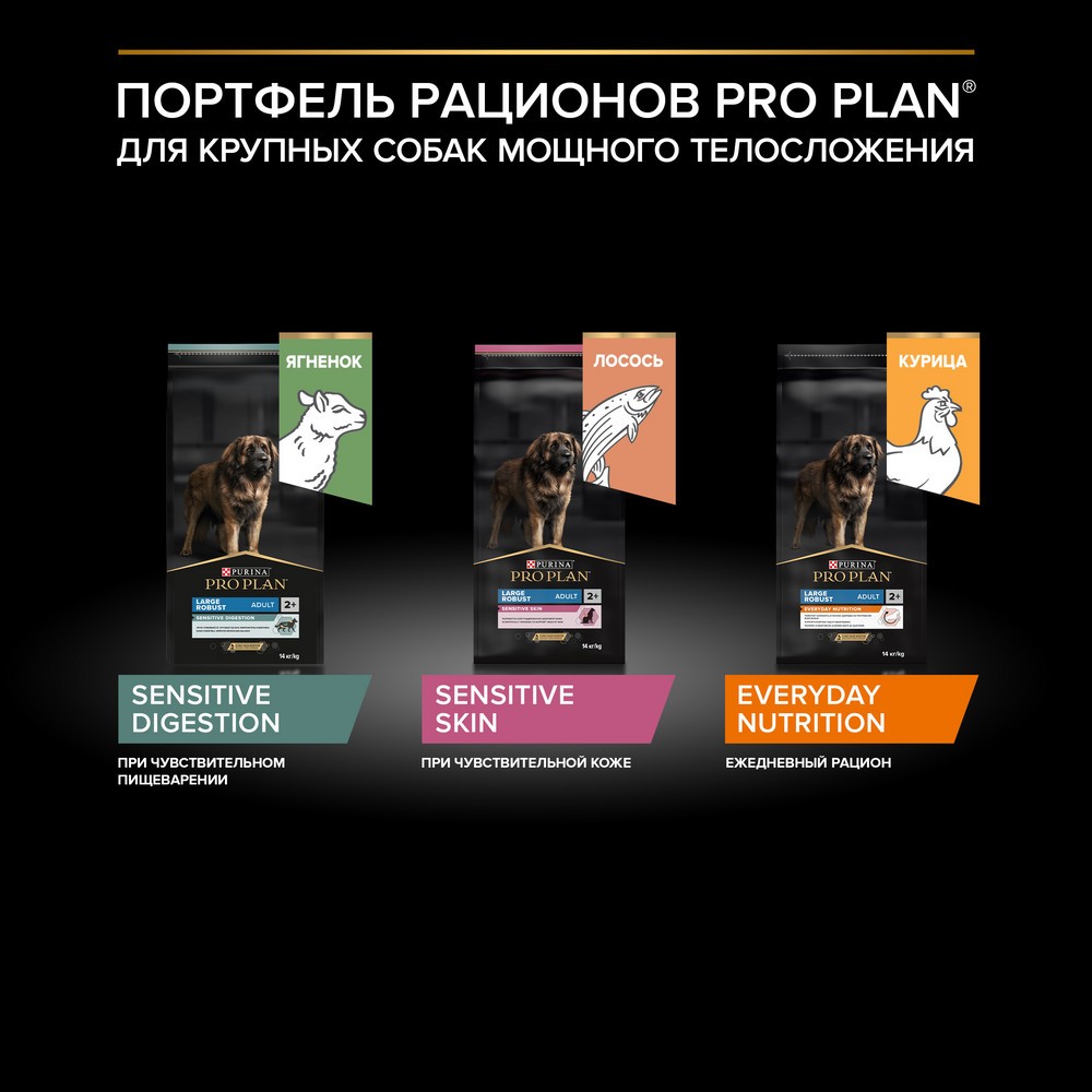 Корм для собак PRO PLAN Everyday Nutrition для крупных пород с мощным телослож., курица сух.
