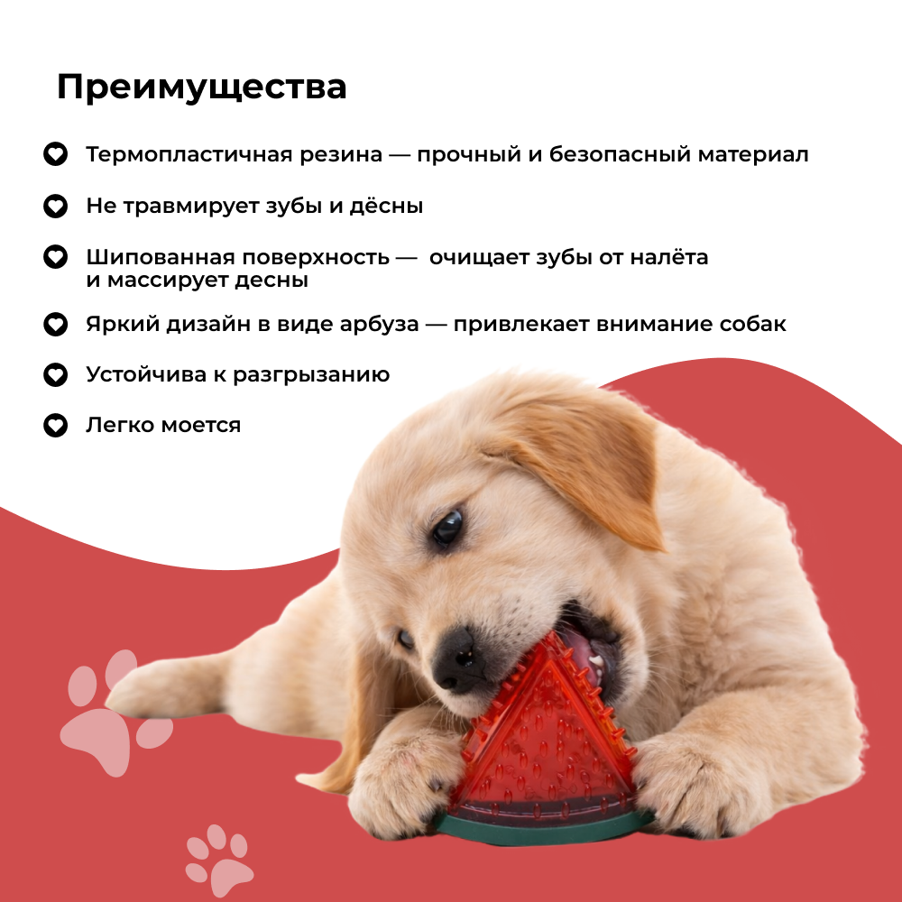 Игрушка для собак FOXIE Watermelon для чистки зубов 9x10см