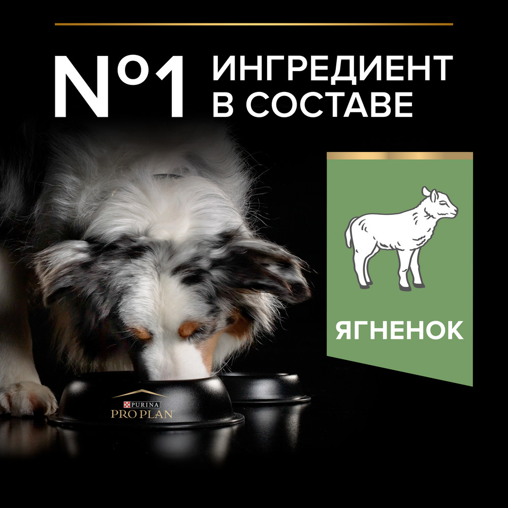 Корм для собак PRO PLAN Sensitive Digestion для средних пород с чув. пищеварением, ягненок сух.