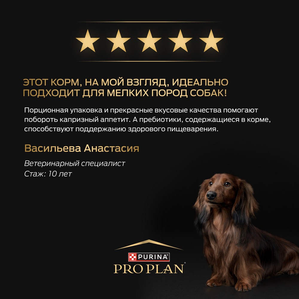 Корм для собак PRO PLAN Everyday Nutrition для мелких пород, с говядиной в соусе пауч