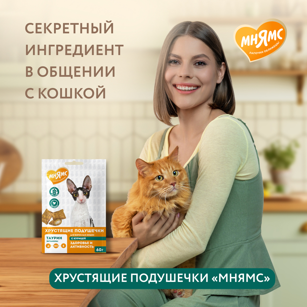 Лакомство для кошек МНЯМС Здоровье и активность хрустящие подушечки с курицей
