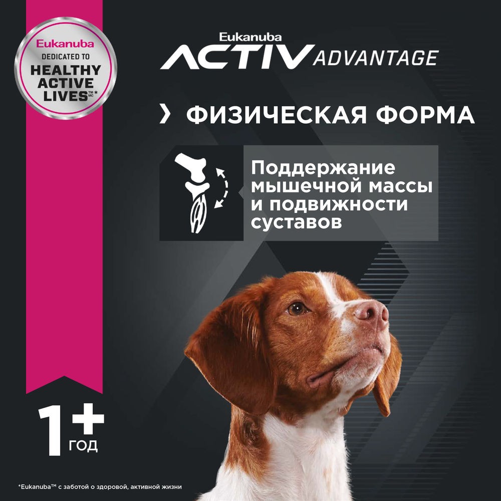 Корм для собак EUKANUBA для средних пород сух.