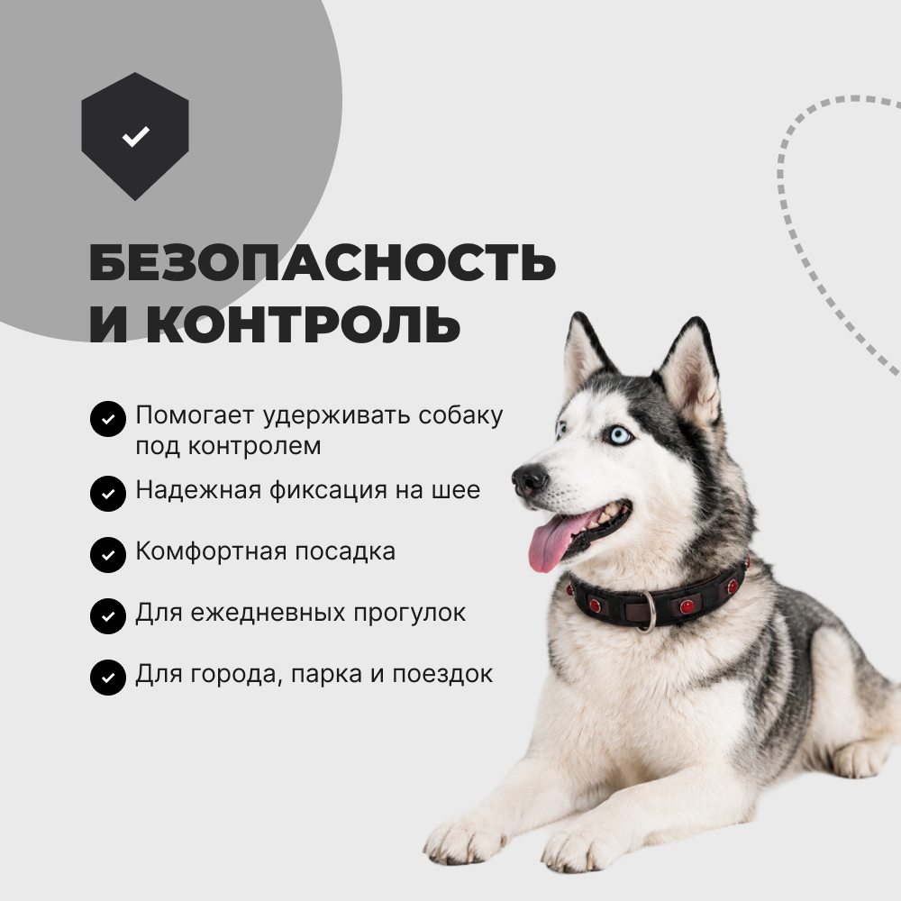 Ошейник для собак FOXIE Jewel M 2,0х35-50см черный