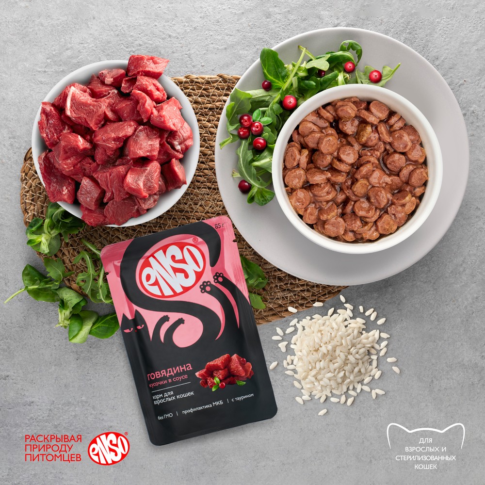 Корм для кошек ENSO кусочки в соусе с говядиной пауч