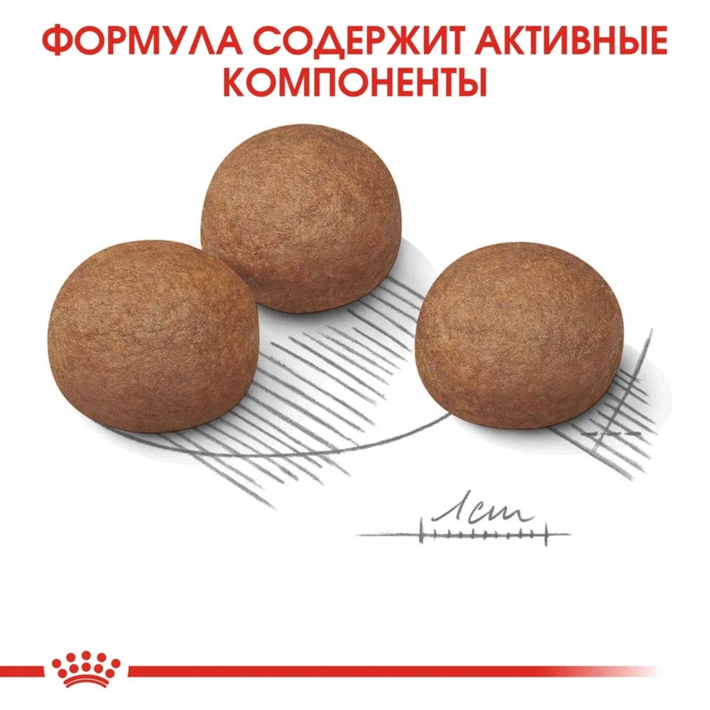 Корм для собак ROYAL CANIN Maxi Digestive Care для крупных пород с чувств. Пищеварением сух.