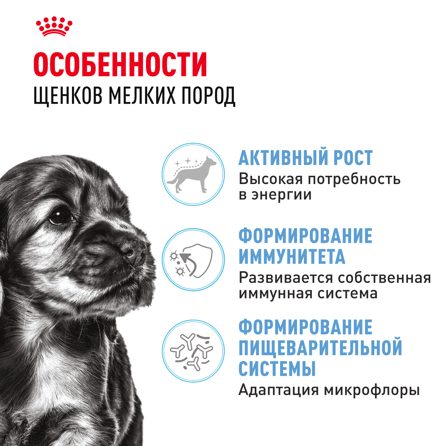 Корм для щенков ROYAL CANIN Mini для мелких пород до 10 месяцев, кусочки в соусе пауч