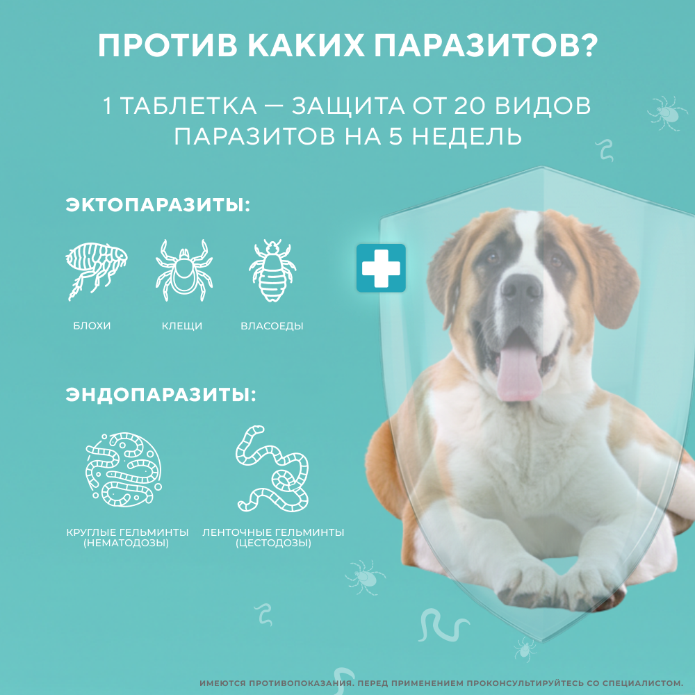 Таблетки от клещей, блох и глистов для собак INSPECTOR Quadro Tabs более 16кг