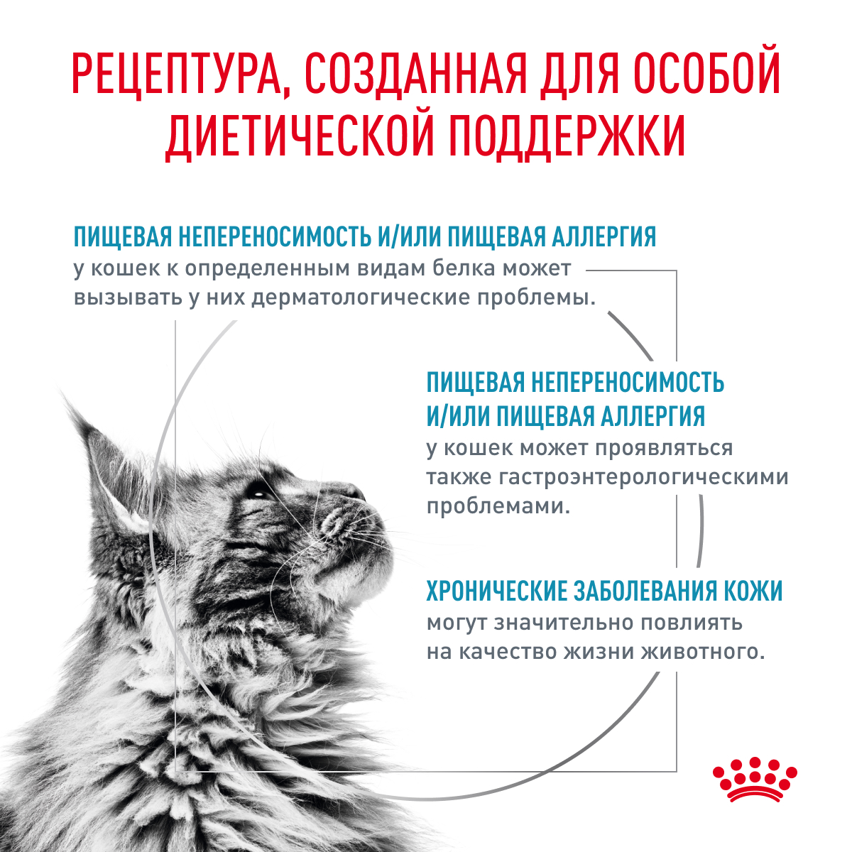 Корм для кошек ROYAL CANIN Hypoallergenic при пищевой аллергии сух.