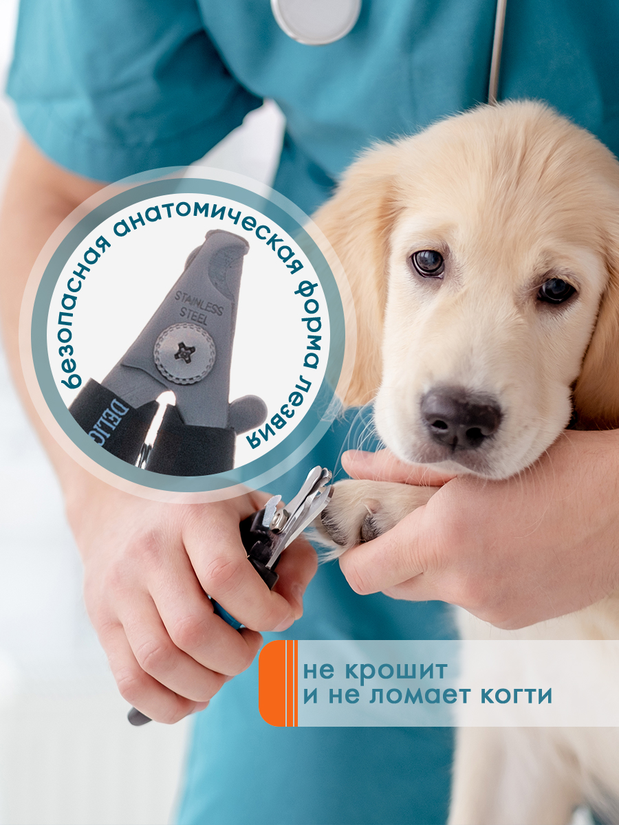 Когтерез-секатор DeLIGHT малый со стопором 40112S