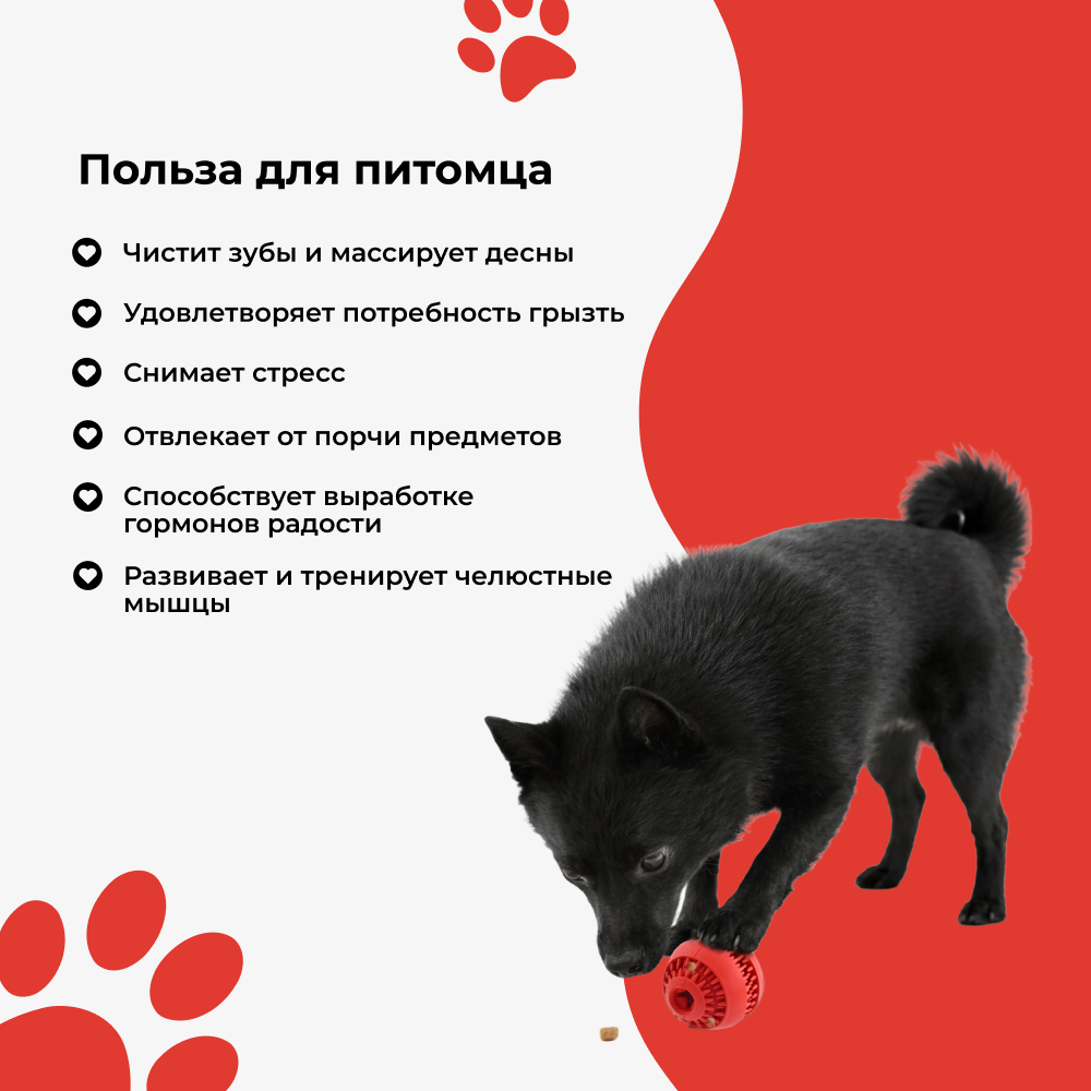 Игрушка для собак FOXIE Мяч для чистки зубов 6х5,7см красный
