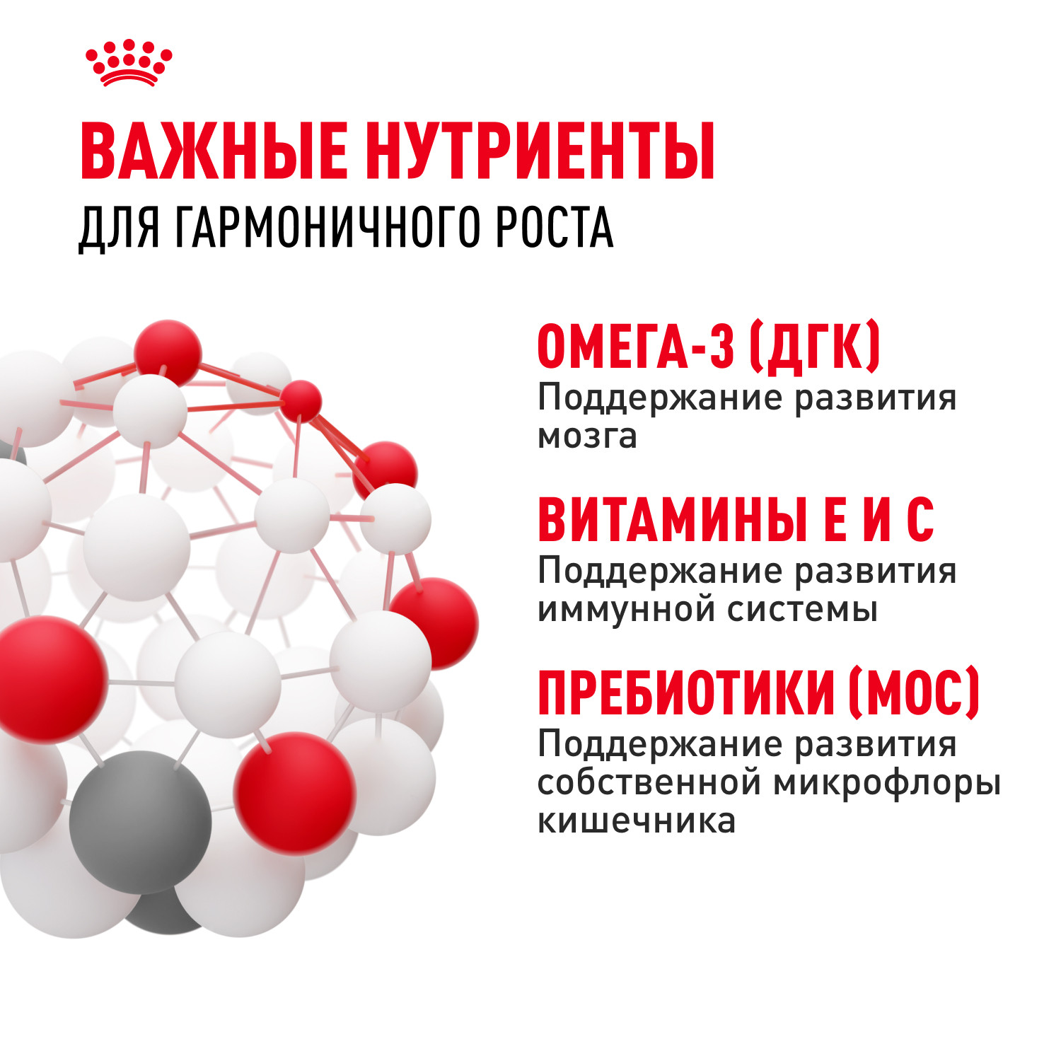 Корм для щенков ROYAL CANIN для крупных пород до 15 месяцев пауч