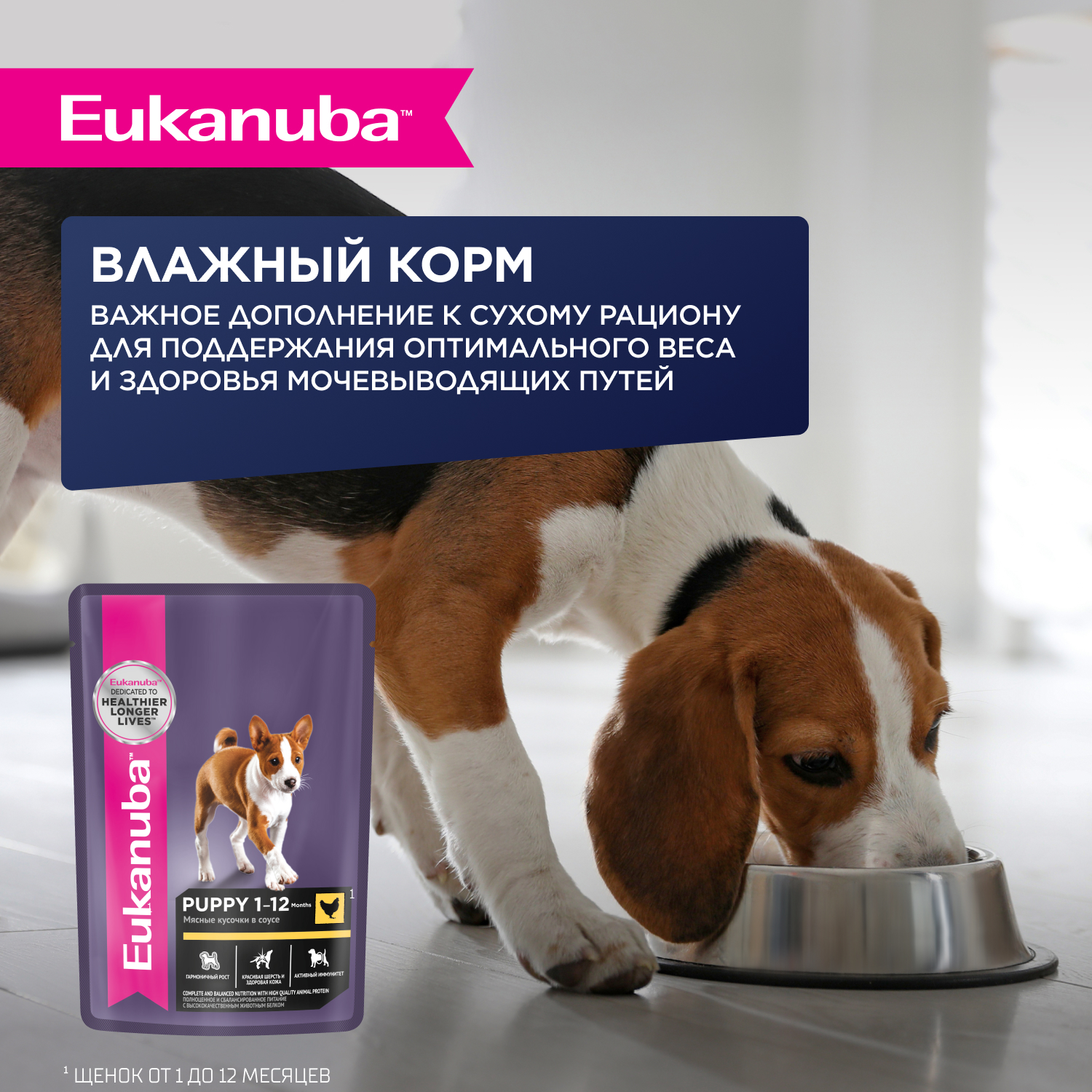 Корм для щенков EUKANUBA для мелких и средних пород до 12 мес., с ягненком сух.