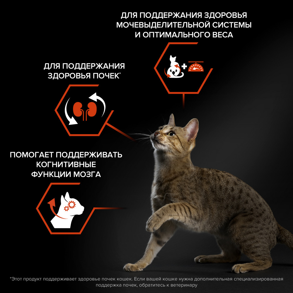 Корм для кошек PRO PLAN Sterilised Vital Functions для органов чувств с лососем сух.