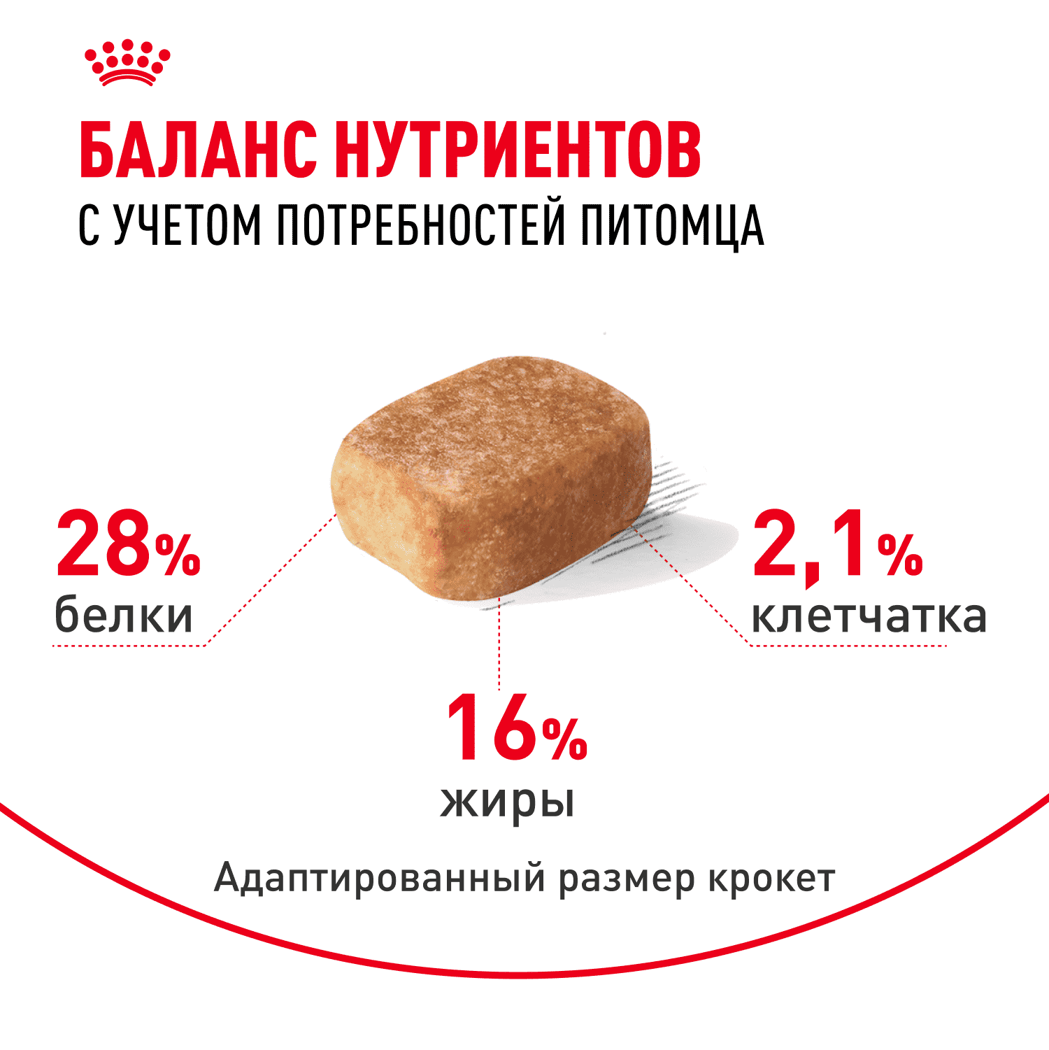 Корм для собак ROYAL CANIN Chihuahua Adult для породы чихуахуа от 8 месяцев сух.