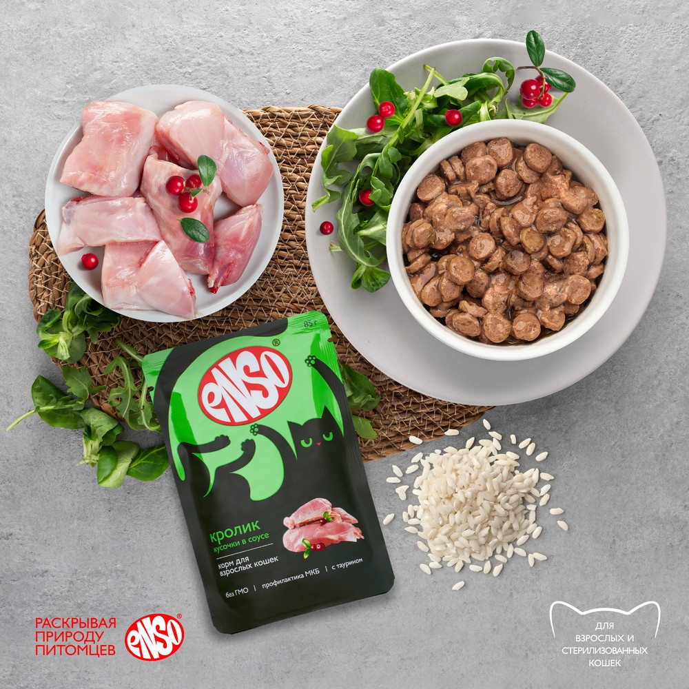 Корм для кошек ENSO кусочки в соусе с кроликом пауч