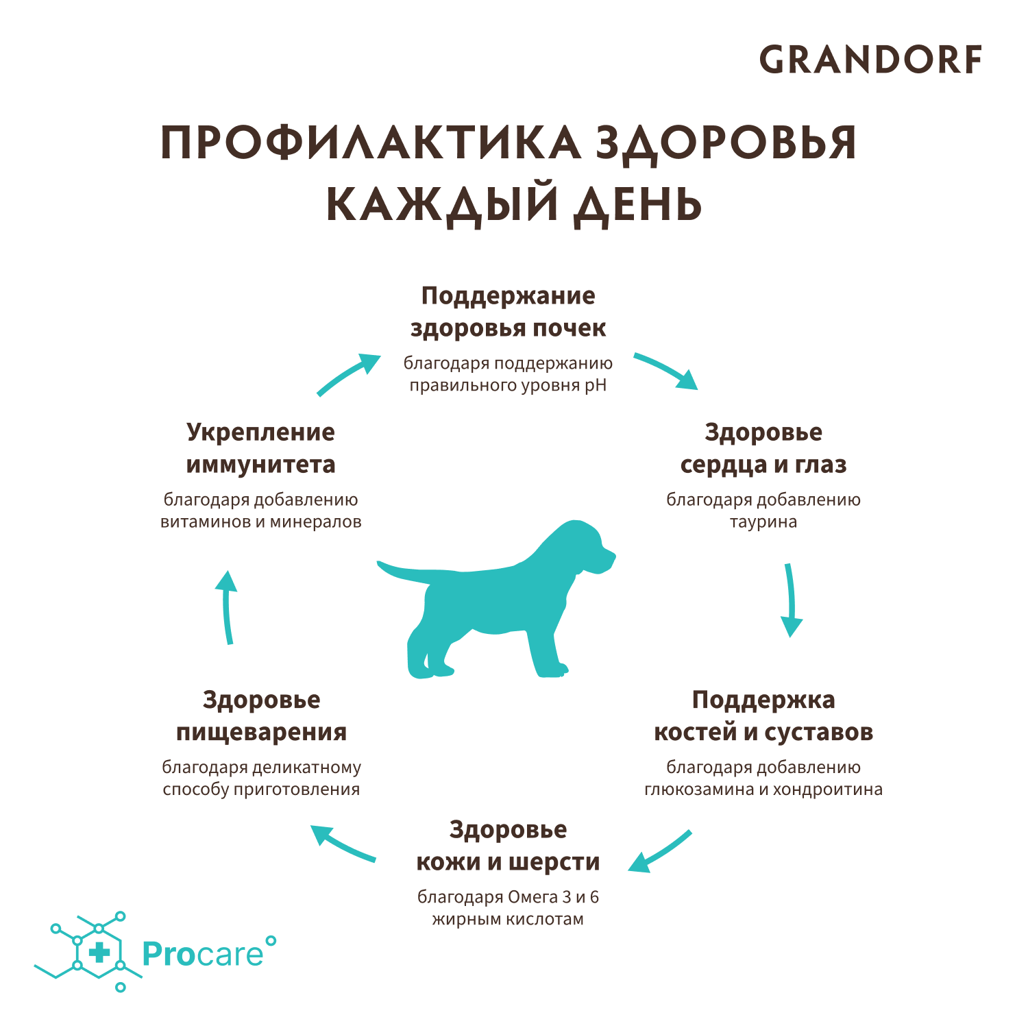 Корм для щенков GRANDORF ягненок с индейкой сух.