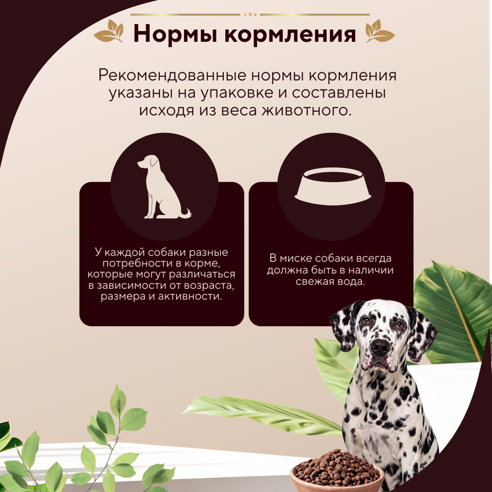 Корм для собак PRO DOG для крупных пород с нормальной активностью, курица сух.