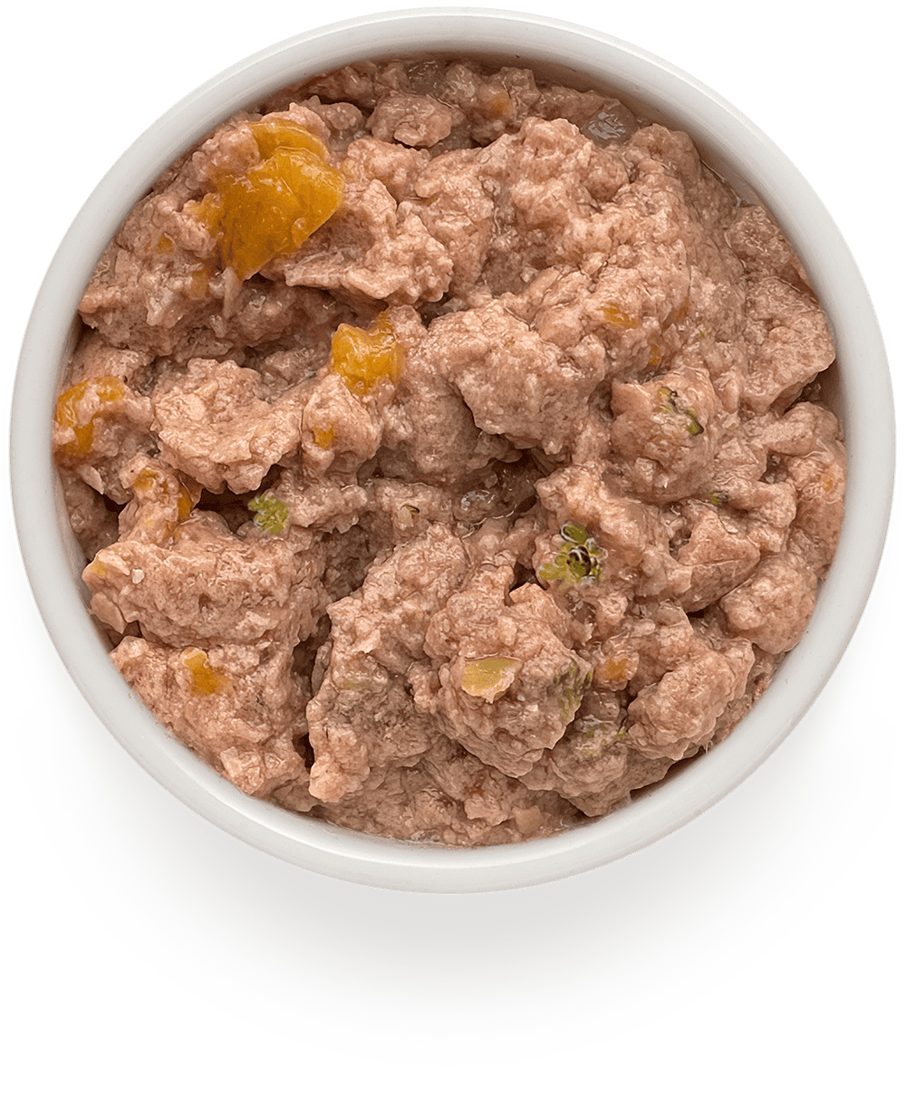 Корм для собак GRANDORF FRESH Паштет из индейки с тыквой и брокколи банка