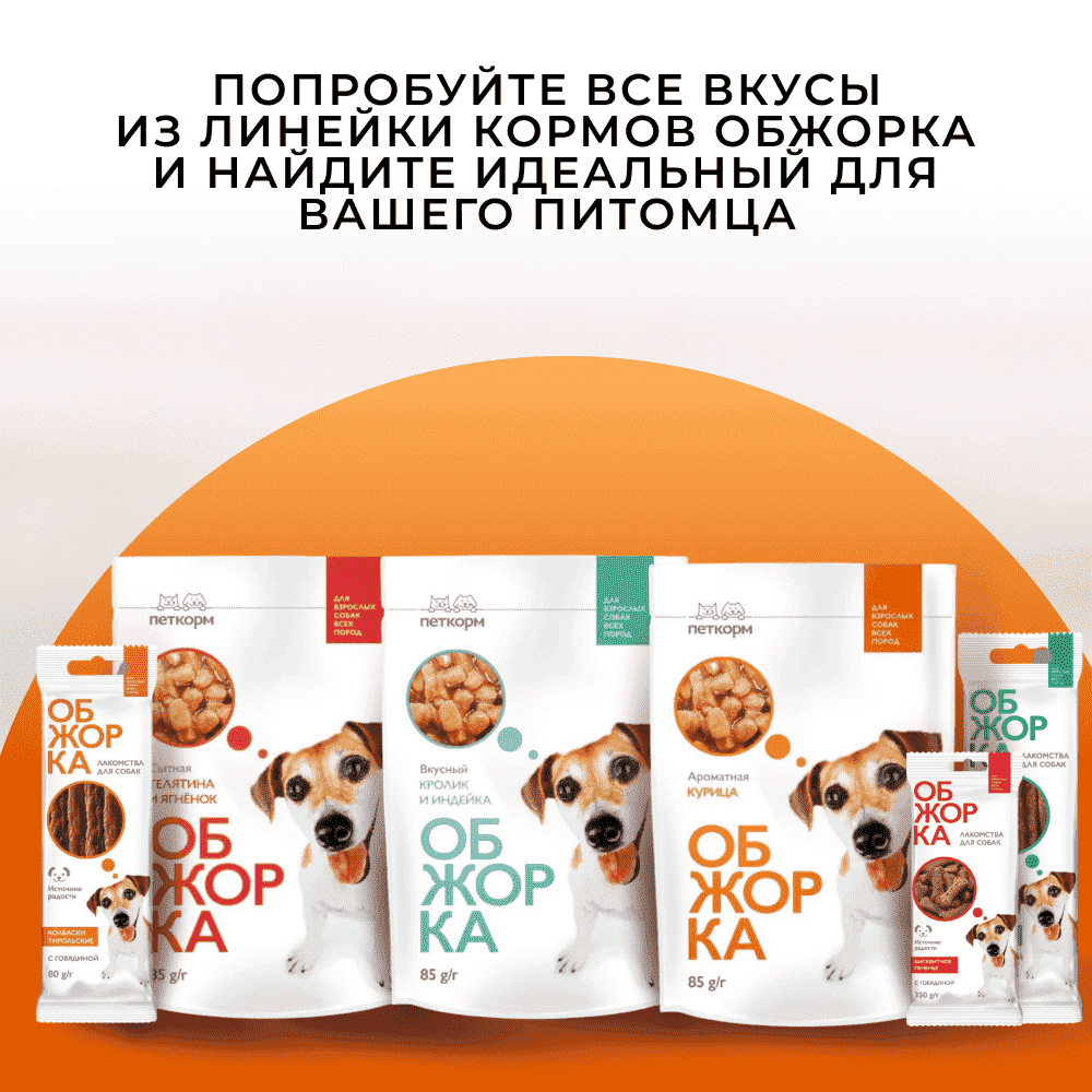 Корм для собак ОБЖОРКА кусочки в соусе с курицей пауч