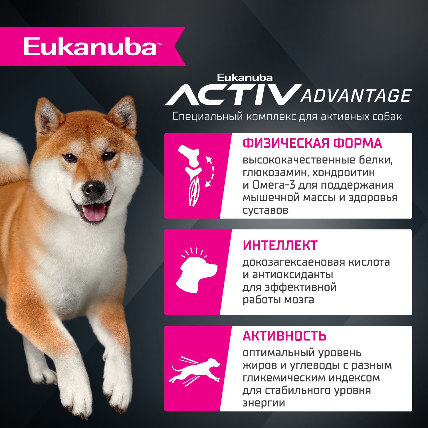 Корм для собак EUKANUBA для мелких и средних пород, ягненок сух.