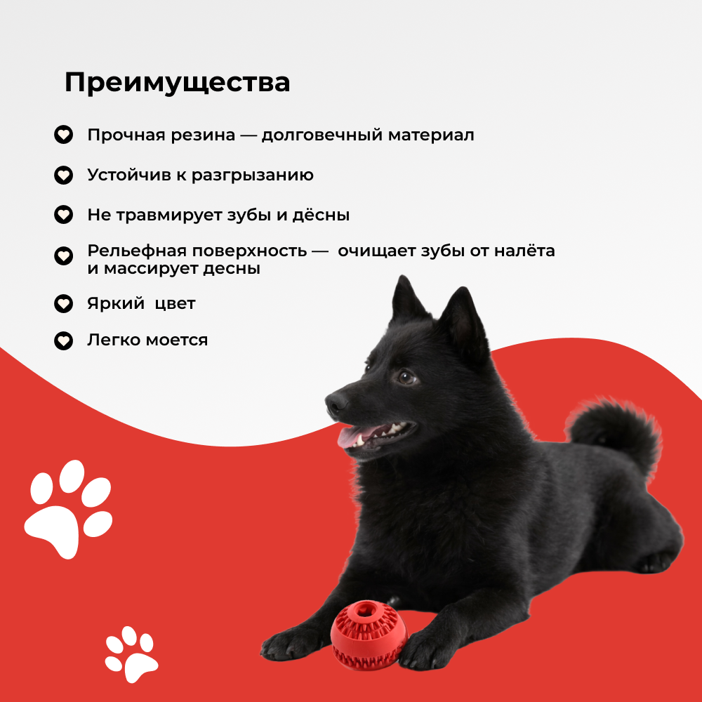 Игрушка для собак FOXIE Мяч для чистки зубов 6х5,7см красный