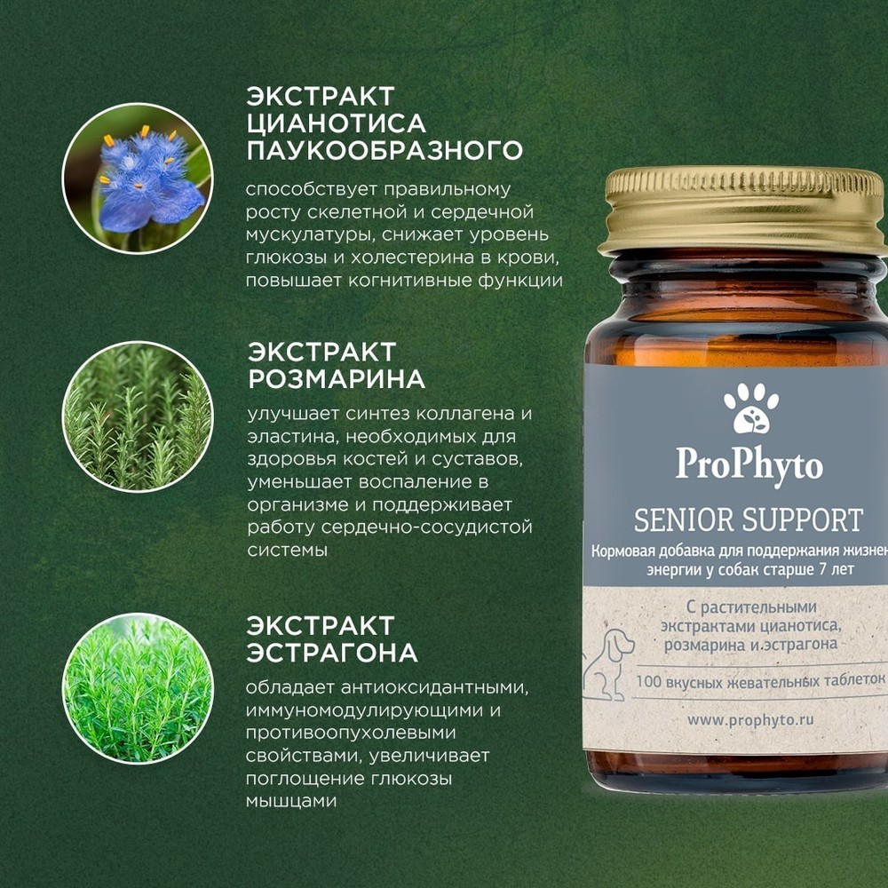 Витамины для собак Prophyto Сеньор Саппорт, 100 таб.
