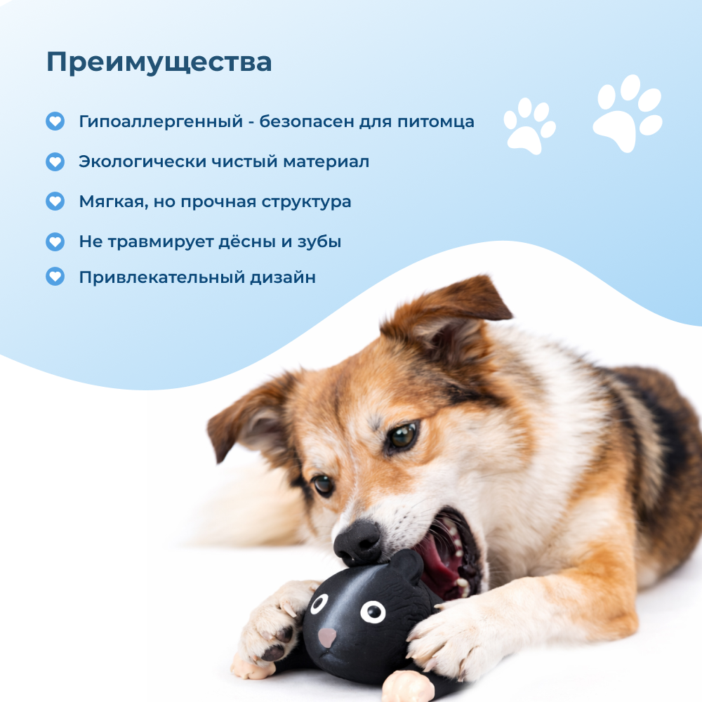 Игрушка для собак FOXIE Black bear 22x12x5см латекс