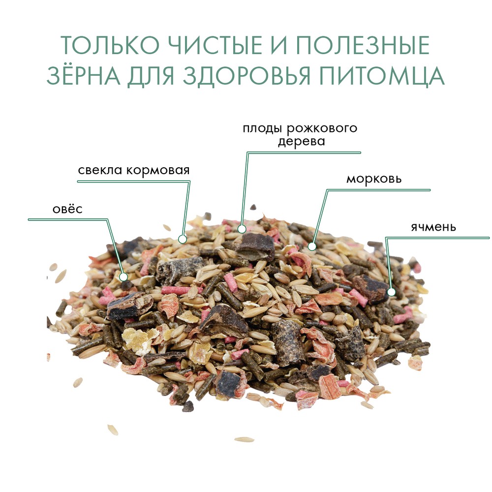 Корм для грызунов FIORY смесь для морских свинок и кроликов сух.