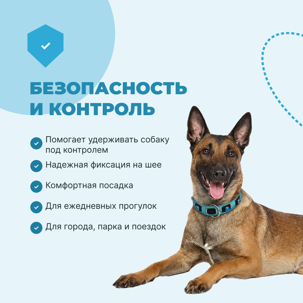 Ошейник для собак FOXIE Lagoon L 2,5х40-55см голубой