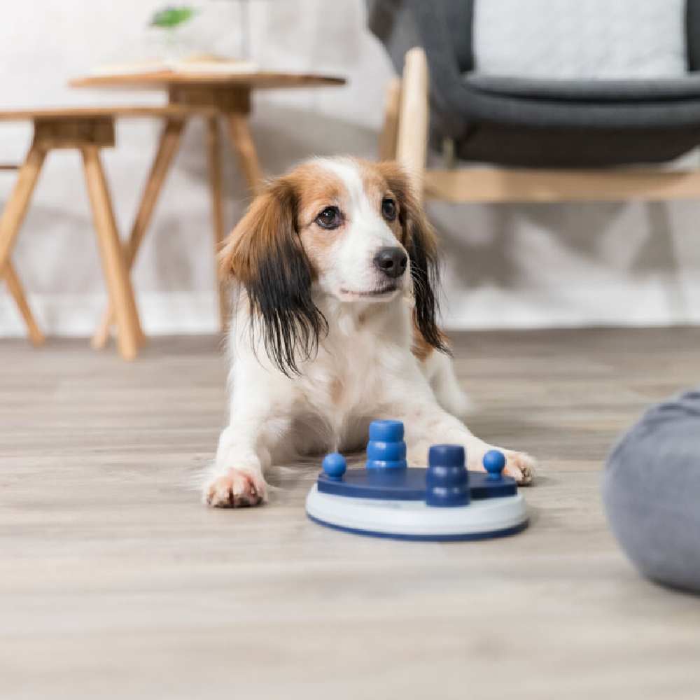 Игрушка для собак TRIXIE Развивающая Push Away 25x17см
