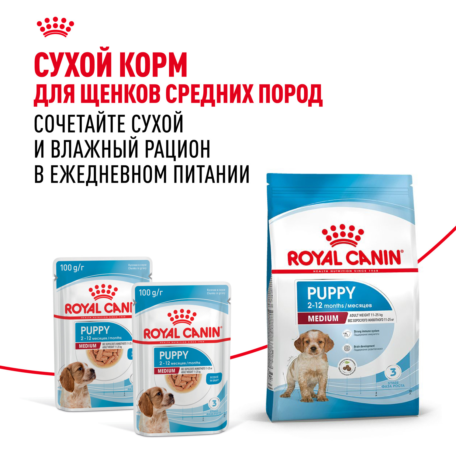 Корм для щенков ROYAL CANIN для средних пород до 12 месяцев пауч