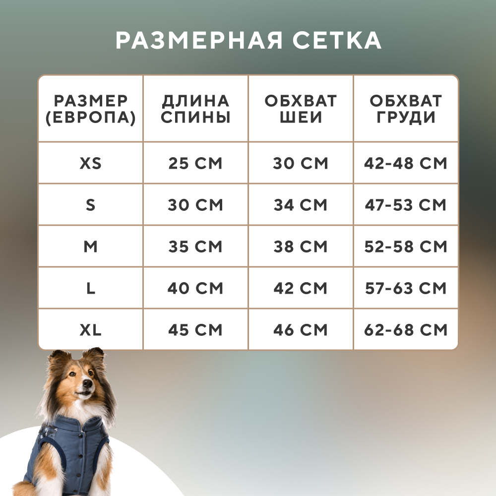 Куртка для собак FOXIE Winter forest разноцветная
