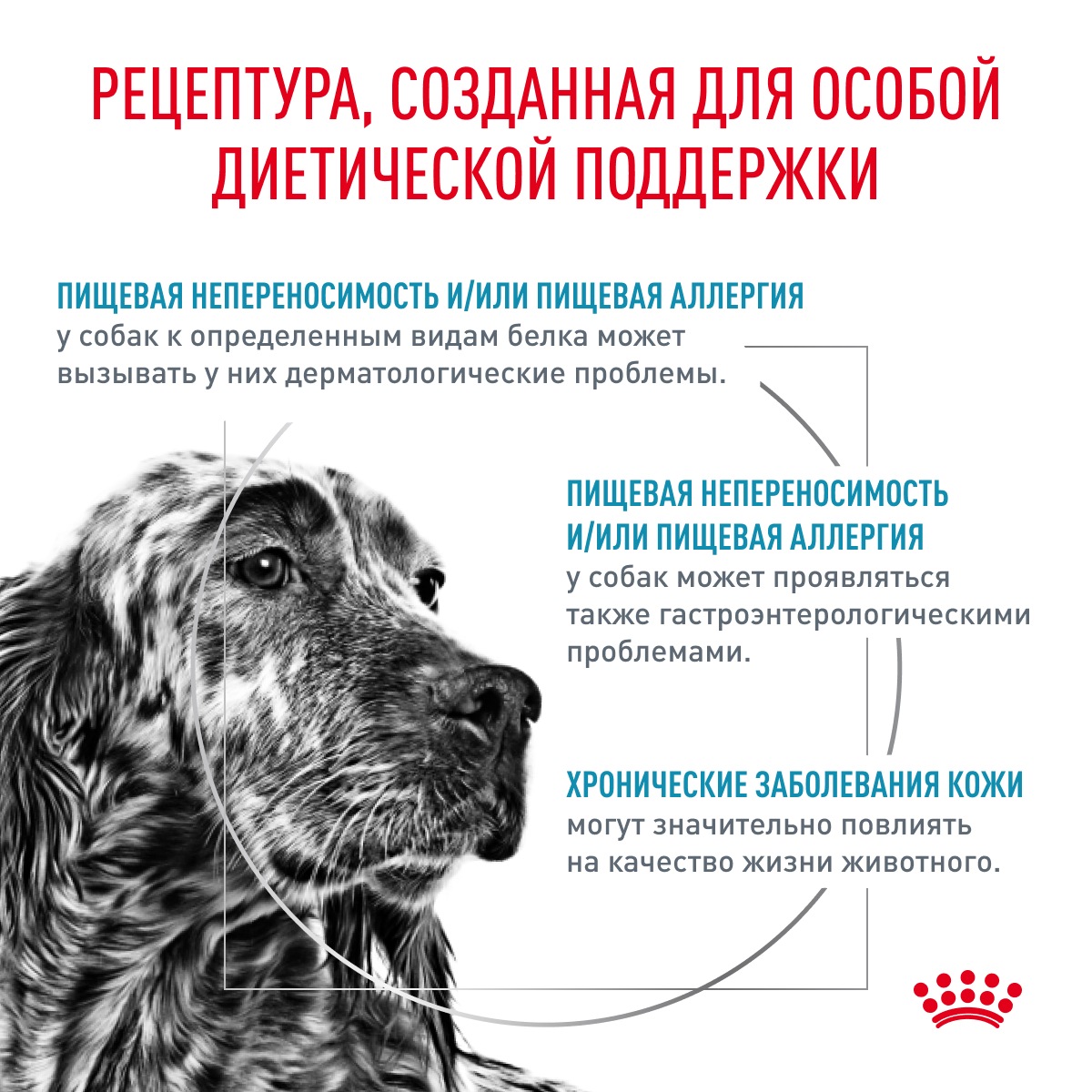Корм для собак ROYAL CANIN Hypoallergenic при пищевой аллергии сух.